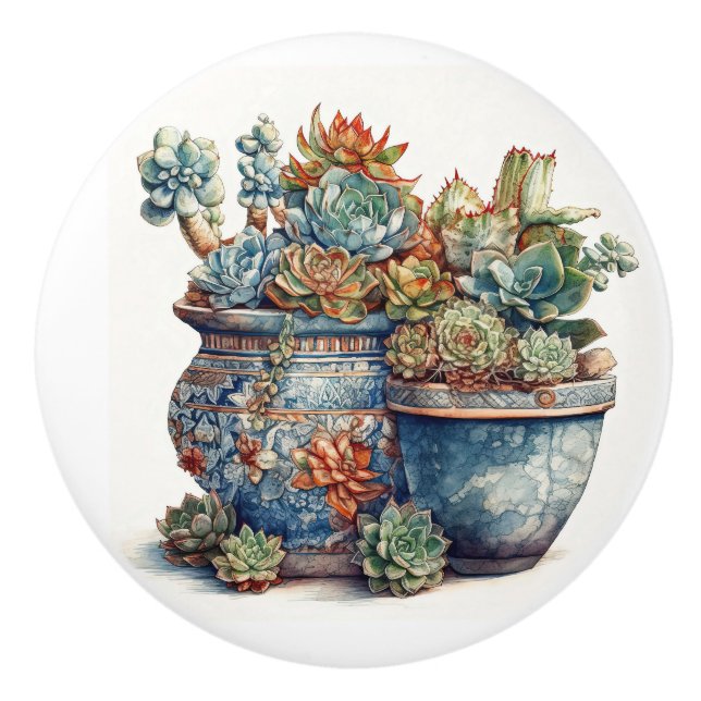 Bouton De Porte En Céramique Cactus et succulents (Devant)