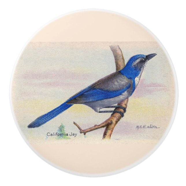 Bouton De Porte En Céramique California Blue Jay Knob (Devant)