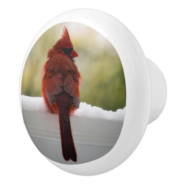 Bouton De Porte En Céramique Cardinal dans la neige (Droite)
