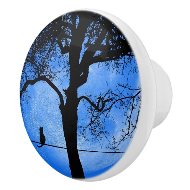Bouton De Porte En Céramique Cat on a Wire Blue Moon (Droite)