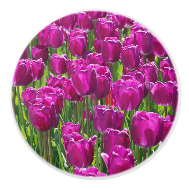 Bouton De Porte En Céramique Champ de tulipes pourpres (Devant)