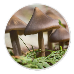 Bouton De Porte En Céramique Champignons dans la forêt