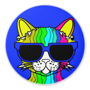 Bouton De Porte En Céramique Chat arc-en-ciel très Cool avec verre soleil sur b