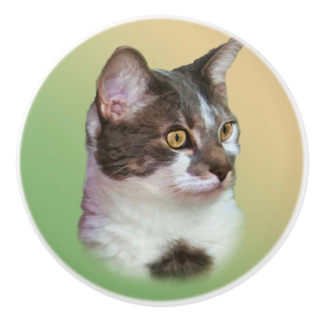 Bouton De Porte En Céramique Chat noir et blanc, personnalisable (Devant)