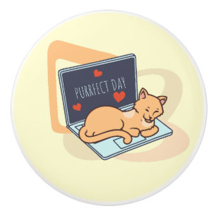 Bouton De Porte En Céramique Chat ordinateur couché mignon