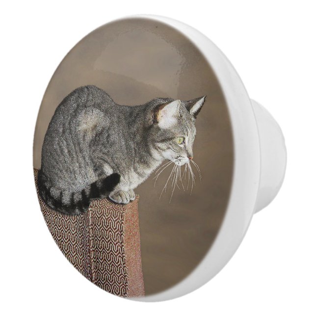 Bouton De Porte En Céramique Chat Tabby Gris Fumé (Droite)