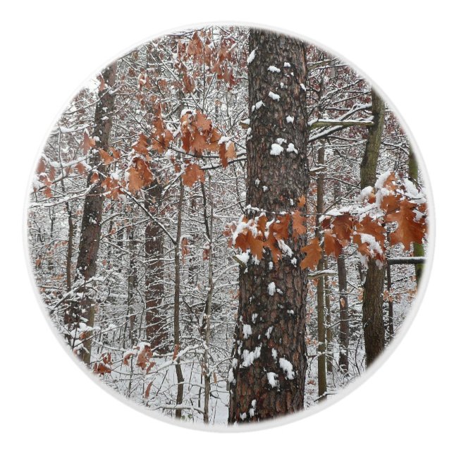 Bouton De Porte En Céramique Chênes couverts de neige hiver Photographie de la  (Devant)