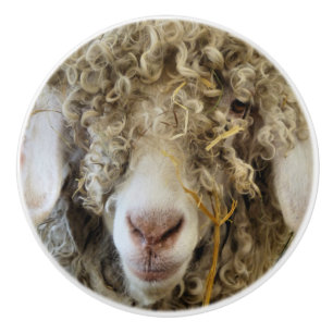 BOUTON DE PORTE EN CÉRAMIQUE CHÈQUE CUTE