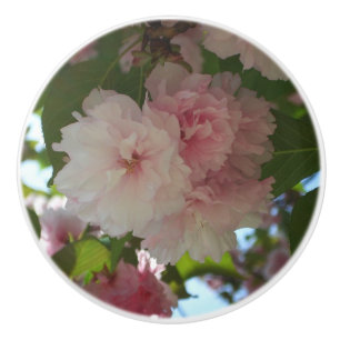 Bouton De Porte En Céramique Cherry Tree I Spring Floral
