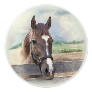 Bouton De Porte En Céramique Cheval Brown avec le licou