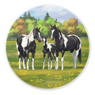 Bouton De Porte En Céramique Chevaux De Peinture De Pinto Noir En Pâturage Été