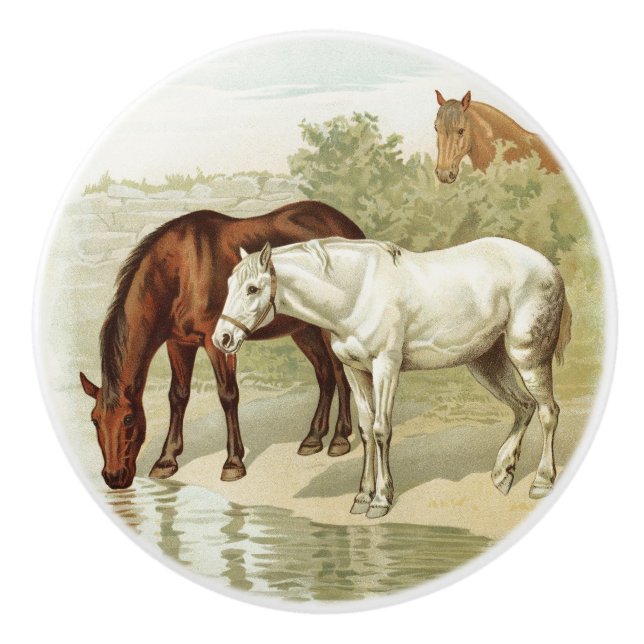 Bouton De Porte En Céramique Chevaux vintage Country Farm (Devant)