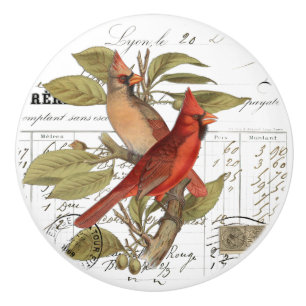 Bouton De Porte En Céramique Chic Cardinal Vintage sur Branche French Script Kn
