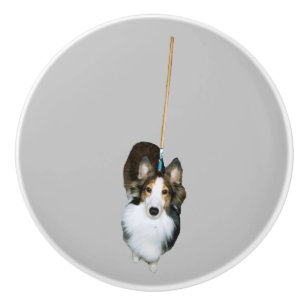 Bouton De Porte En Céramique Chien à la broche