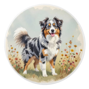 Bouton De Porte En Céramique Chien Berger Australien Merle Queue Longue