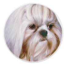 Chien Brindle et blanc de Shih Tzu