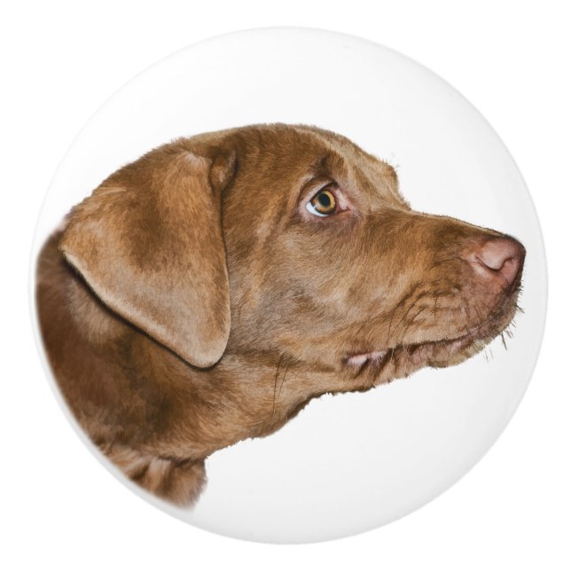 Bouton De Porte En Céramique Chien de labrador retriever, personnalisable (Devant)