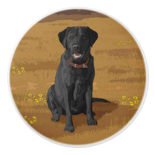 Bouton De Porte En Céramique Chien du Labrador jaune rouge renard
