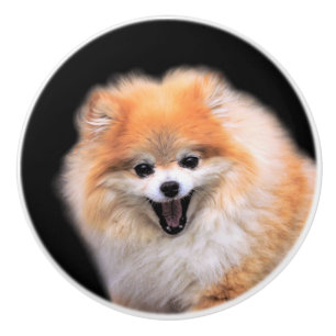 Bouton De Porte En Céramique Chien Poméranien mignon riant