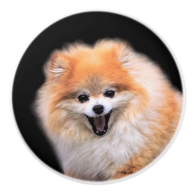 Bouton De Porte En Céramique Chien Poméranien mignon riant (Devant)