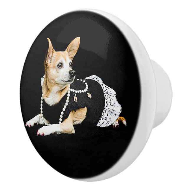 Bouton De Porte En Céramique Chihuahua Brown et élégant Noir (Droite)