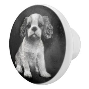 Bouton De Porte En Céramique Chiot de cavalier d'épagneul du Roi Charles