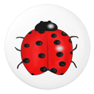 Bouton De Porte En Céramique Coccinelle