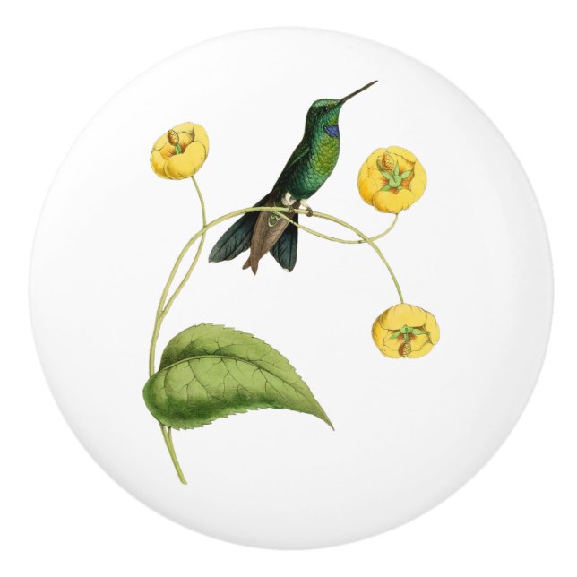 Bouton De Porte En Céramique Colibri brillant couronné par vert (Devant)