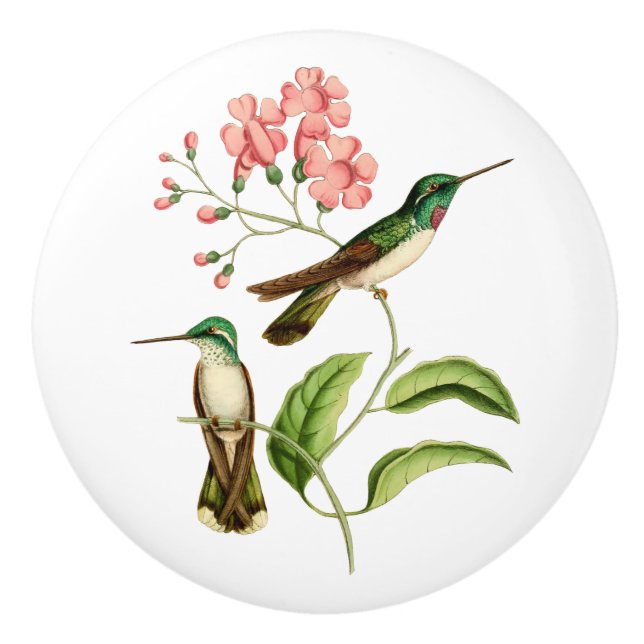 Bouton De Porte En Céramique Colibri de gemme de montagne gonflé par blanc (Devant)