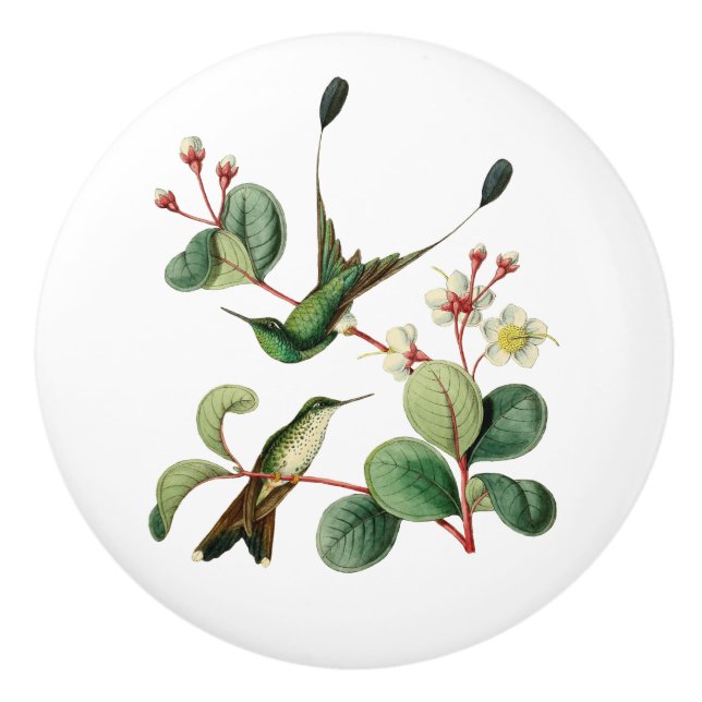 Bouton De Porte En Céramique Colibri initialisé de queue de raquette (Devant)