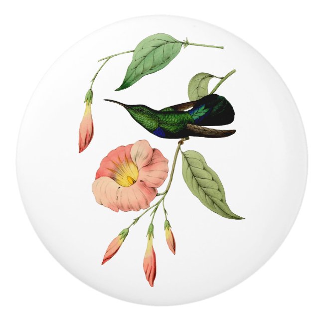 Bouton De Porte En Céramique Colibri Throated vert de Carib (Devant)