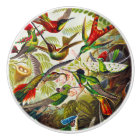 Colibri Vintage par Ernst Haeckel