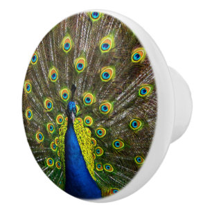 Bouton De Porte En Céramique Colorful peacock