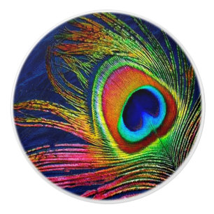 Bouton De Porte En Céramique Copie colorée de plume de paon