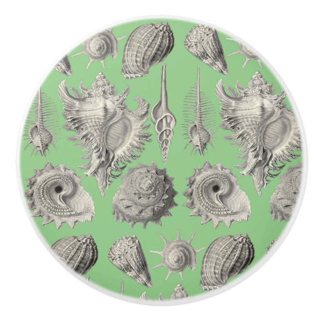 Bouton De Porte En Céramique Coquillages Plage Nautique Coquillages Mint Vert B (Devant)