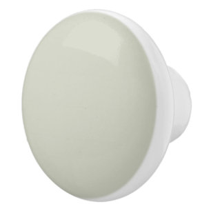 Bouton De Porte En Céramique Couleur blanche