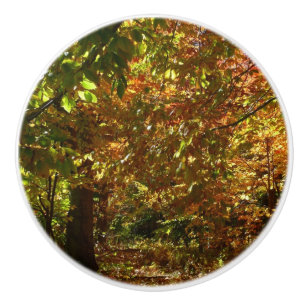 Bouton De Porte En Céramique Couvert de feuilles d'automne II Photographie d'au