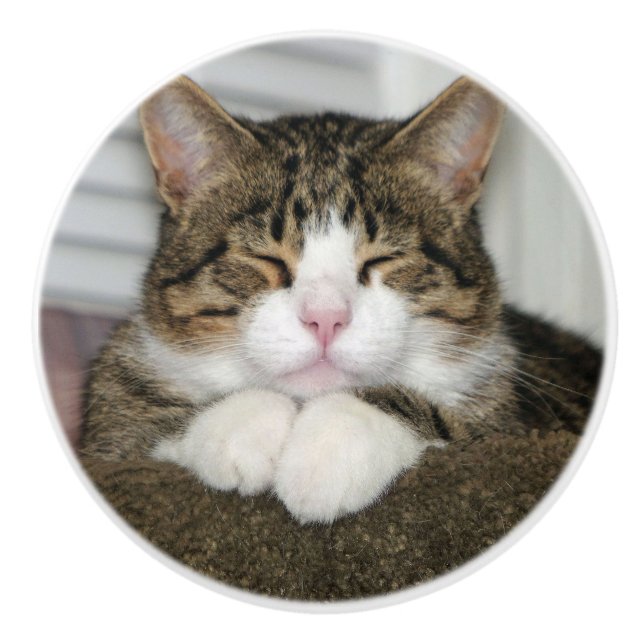 Bouton De Porte En Céramique Cute chat (Devant)