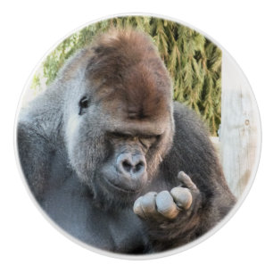 BOUTON DE PORTE EN CÉRAMIQUE CUTE GORILLA