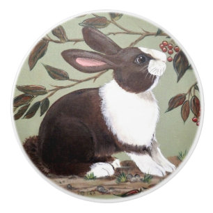 Bouton De Porte En Céramique Cute hollandaise Lapin Lapin Sage Bois Animal 