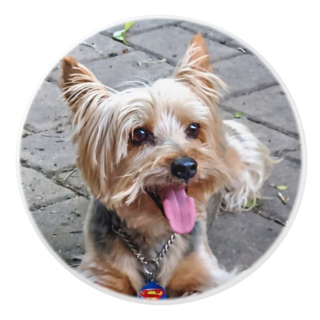 Bouton De Porte En Céramique Cute Terrier (Devant)