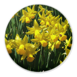 Bouton De Porte En Céramique Daffodiles Jaunes I Fleurs De Printemps Cheveux