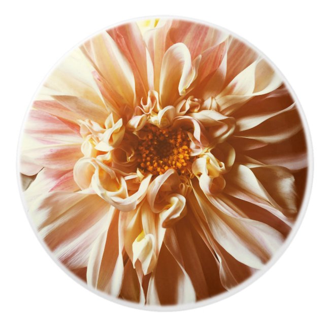 Bouton De Porte En Céramique Dahlia rose pâle (Devant)