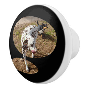 Bouton De Porte En Céramique Dalmatie Popout Art,