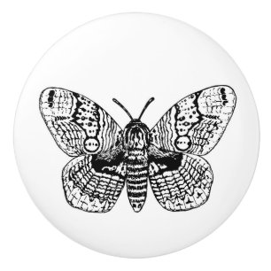 Bouton De Porte En Céramique Dessin Brahmin moth