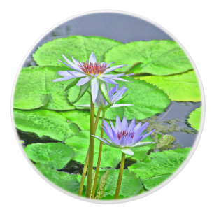 BOUTON DE PORTE EN CÉRAMIQUE DEUX LAVENDER LOTUS BLOSSOMS ET LIVRES VERTS