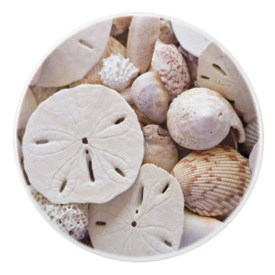 Bouton De Porte En Céramique Dollar de coquilles et de sable