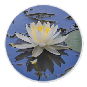 Bouton De Porte En Céramique Eau Lily Ceramic Knob