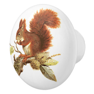 Bouton De Porte En Céramique Écureuil rouge mignon sur la branche