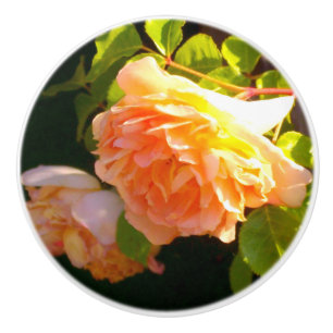Bouton De Porte En Céramique Elégant classique pêche orange rose floral